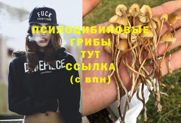 COCAINE Армянск