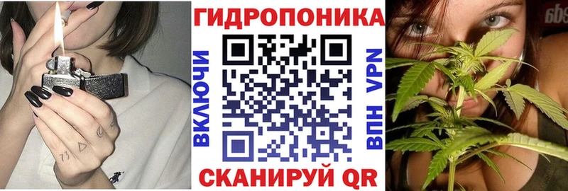 закладки  ОМГ ОМГ ссылка  Канабис гибрид  Магас 